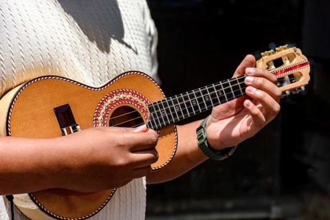 Cavaquinho being played during a samba performance on the streets of Brazil, Brazil, South America
