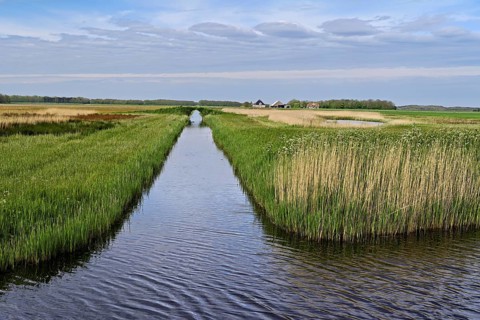 Man-made drainage canal, Texel, West Frisian Island, Province of North Holland, Holland Netherlands