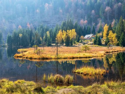 Kleiner Arbersee in autumn with Gasthof Seehäusl, Bavarian Forest, Lower Bavaria, Bavaria, Germany,