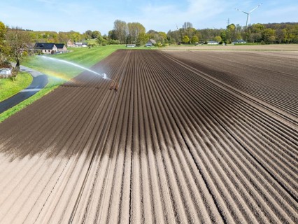 Artificial irrigation of a potato field in April, with a sprinkler system, long drought in spring