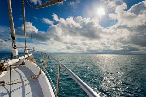 Sailing, sailing ship in the evening sun, backlight, sky, beautiful weather, atmosphere, journey,