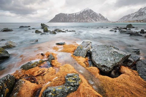 Rocky coast of fjord of Norwegian sea in winter with snow. Skagsanden beach, Lofoten islands,