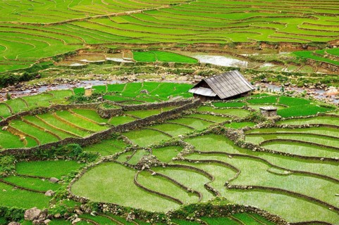 Farm shed in rice field terraces. Near Sapa, Vietnam, Asia