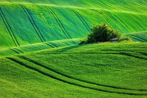 European rural wallpaper, Moravian rolling landscape, Moravia, Czech Republic, Europe