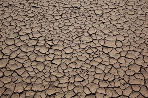 Dried clay surface, Oman, Asia