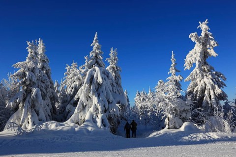 Winter landscape in the Fichtelgebirge, Bayreuth district, Upper Franconia, Bavaria, Germany,