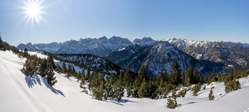 Mountain pines in the snow, ski tour to Schafreuter, view of snowy mountain panorama, Karwendel,