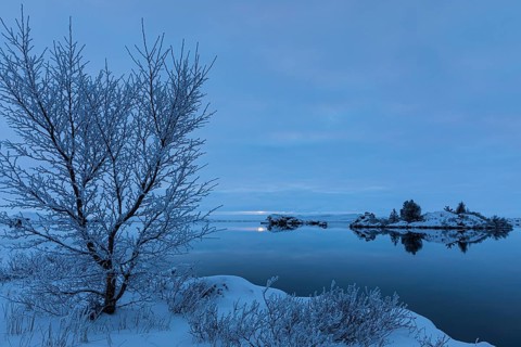 Snow-covered small islands overgrown with bushes in Lake Myvatn, at blue hour, Kalfaströnd,