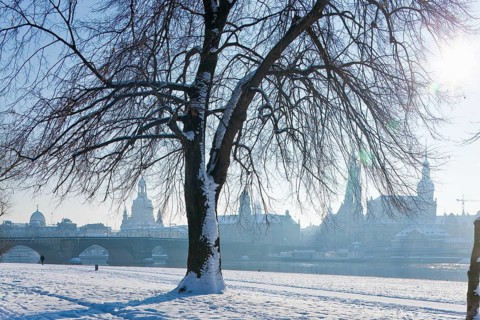 Dresden silhouette in winter