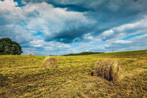 Agriculture background, a stunning summer landscape with hay bales scattered across a field, with a