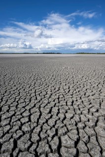 Cracked earth, heavily dried out Zicksee, Lake Neusiedl-Seewinkel National Park, Burgenland,