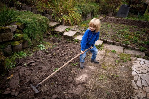 Little boy, 6 years, blonde, gardening, rake, allotment, Stuttgart, Baden-Württemberg, Germany,
