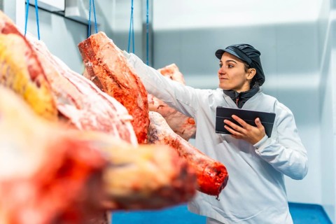 Female butcher using digital tablet to analyze products in a cold meat storage room