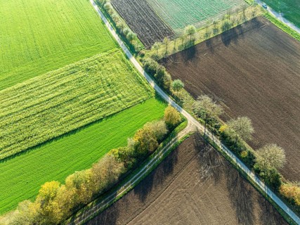 Fields and meadows, near village Plankstetten, aerial view, Berching, Bavaria, Germany, Europe