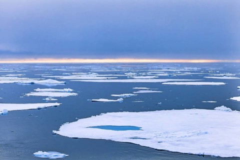 Ice sheet in the polar sea in Arctic ocean, Svalbard, Norway, Europe