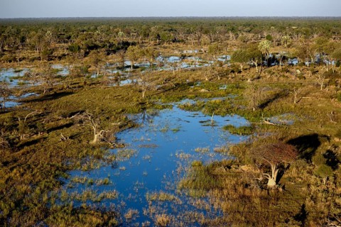 Marsh landscape, aerial view, Gomoti Plains, Okavango Delta, Botswana, Africa