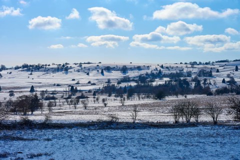 Snow-covered hills and pastures with trees under a blue sky with white clouds, winter, Oberelsbach,