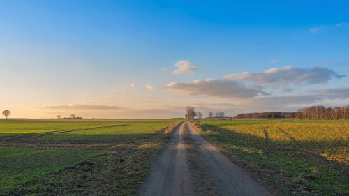 View along a country lane in the evening light, clouds, blue sky, backlight, field, landscape