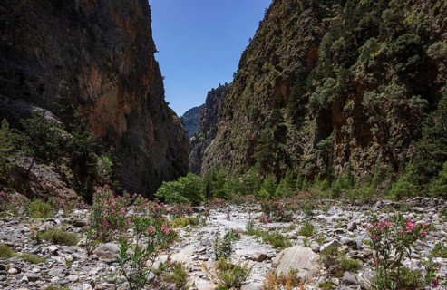 Hiking trail through the Samaria Gorge, south coast, Crete, Greece, Europe