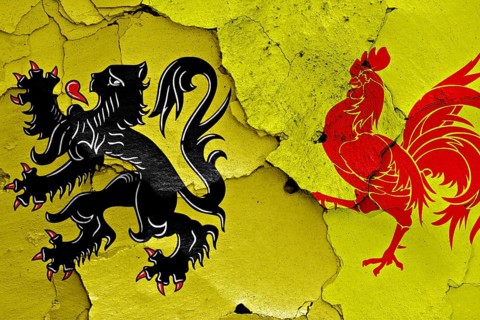 Flags of Flanders and Wallonia painted on cracked wall