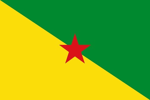 Flag of French Guiana, Vector illustration