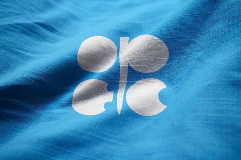 Closeup of Ruffled Organization of the Petroleum Exporting Countries Flag, OPEC Flag Blowing in