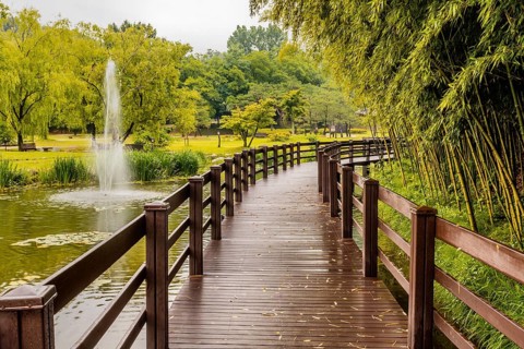 Wooden elevated walkway over man made pond with fountain shooting water next to bamboo grove in