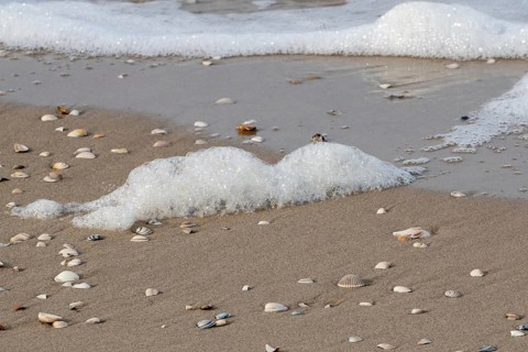 White glittering foam in the surf on the beach