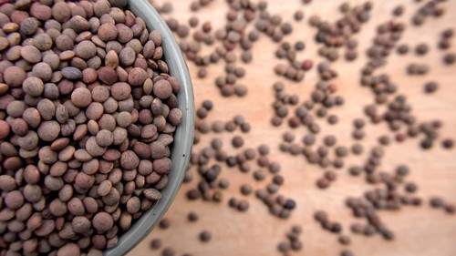 Whole Brown Lentils in a Blue Bowl, Top View, Close-Up Shot, Vegan Food, Copyspace