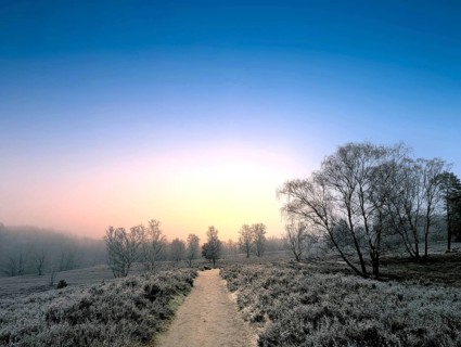 Hiking in winter with frost in the Fischbeker Heide in Hamburg