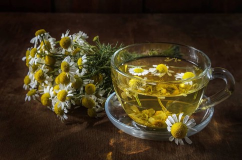 Herbal tea cup and daisy medicinal herbs bunches on wooden board