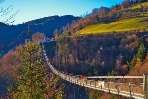 A suspension bridge leads over a wooded landscape with a meadow slope in the background, Black