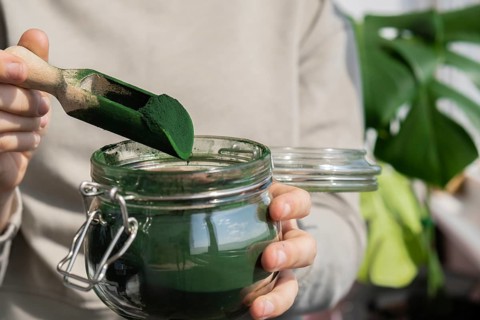 Female hands holding Organic blue-green algae spirulina detox powder in glass jar. Health protein