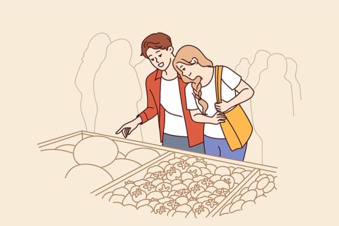 Man and woman do shopping at market and stand near crates of vegetables at farmers fair. Happy