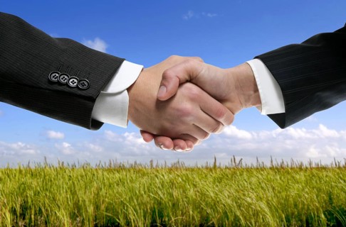Businessman teamwork partners shaking hands in green nature