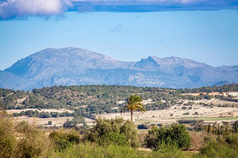 View over Majorca's hinterland Es Pla, Tramuntana mountains in the background, wide landscape with