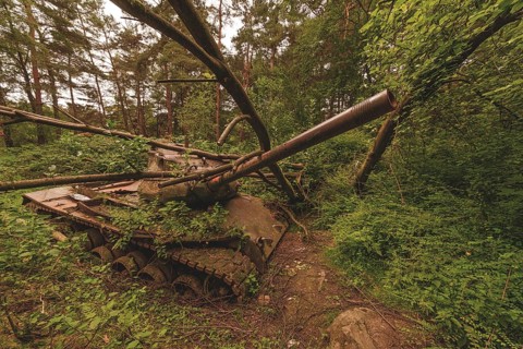 A dilapidated tank, overgrown with branches and lying in the middle of a forest, surrounded by wild