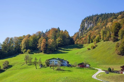 Alpine pasture with houses and forest near Maria Gern in autumn, Berchtesgarden Alps,