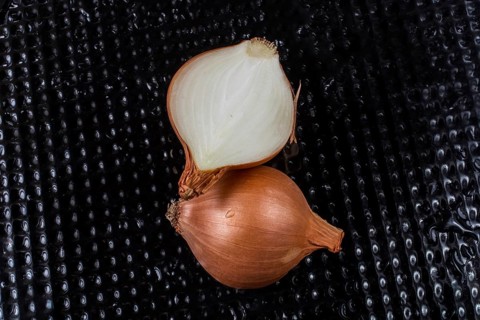 Onion bulb cut in half on a background