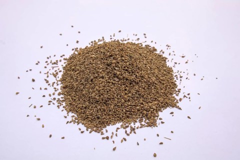 Carom Seeds, Bishop's Weed, Thymol Seeds, Ajwain, Isolated, White Background