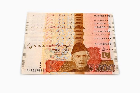 Currency notes in Pakistani Rupees