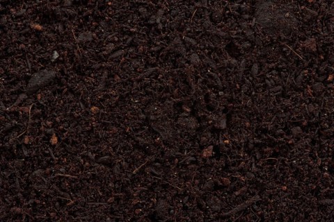 Organic potting soil mix enriched with compost abstract background texture closeup of particles