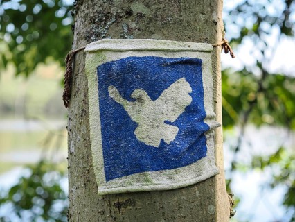 Vintage image of a dove of peace, blurred background, North Rhine-Westphalia, Germany, Europe
