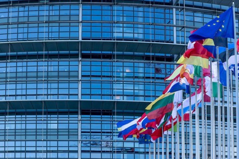 EU flags on poles in front of the Glass Fasadz building and the entrance to the European