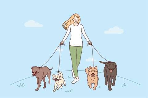 Smiling young woman with dogs on leashes walking in park. Happy girl pet walker with domestic