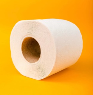 Close up toilet paper roll