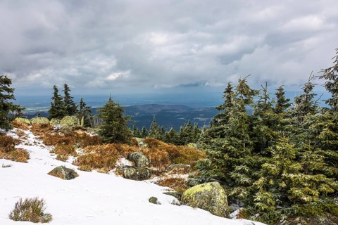 Landscape with snow on the Brocken in the Harz Mountains