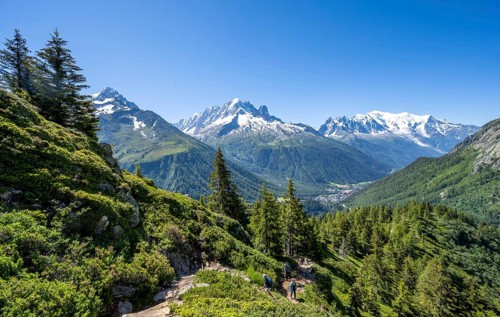 Mountain panorama with glaciated mountain peaks, Aiguille Verte with Aiguille du Midi and Mont