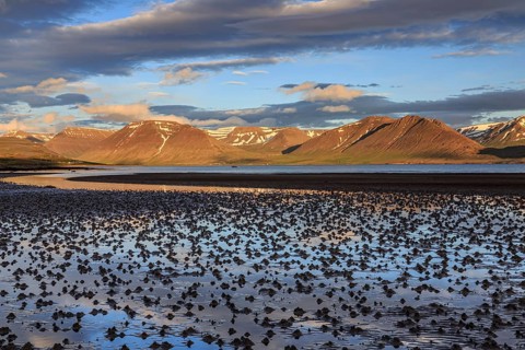 Fjord, low tide, stones, mountains, evening light, cloudy mood, Thingeyri, Westfjords, Iceland,