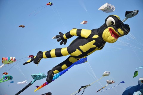 Kite festival, flying kites on Schönberg beach, Schleswig-Holstein, Germany, Europe